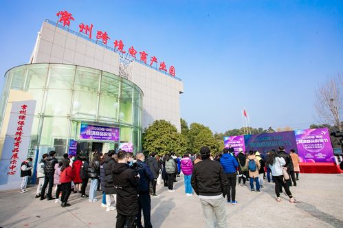 超燃 2020中国 常州 跨境商品购物节开幕,直播助力热卖